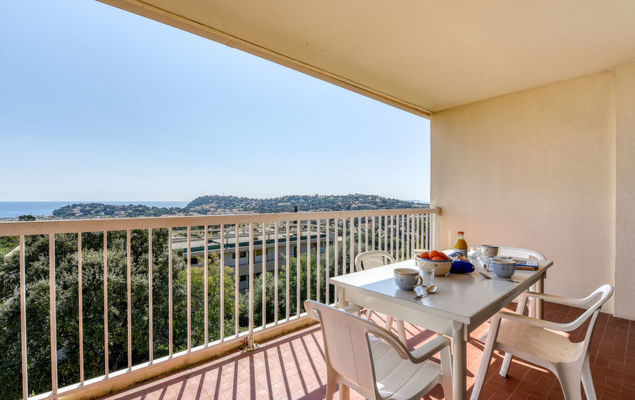 Les Mimosas - Photo 10