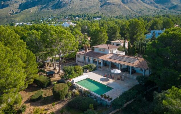 Orquidea 34 - Photo 41