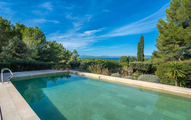 Orquidea 34 - Photo 43