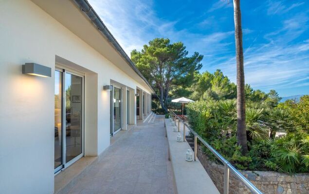 Orquidea 34 - Photo 44