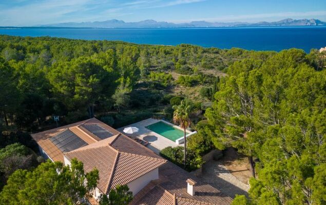 Orquidea 34 - Photo 46