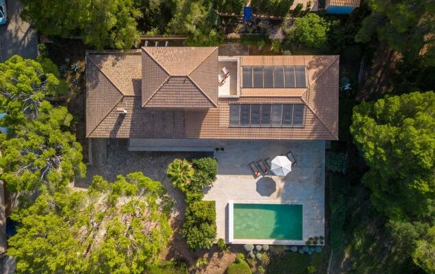 Orquidea 34 - Photo 48