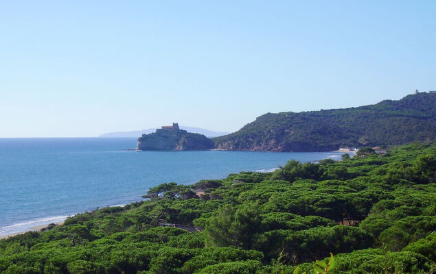 Bungalow Trendy - Photo 29