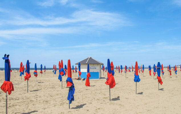 La Normande - Photo 36