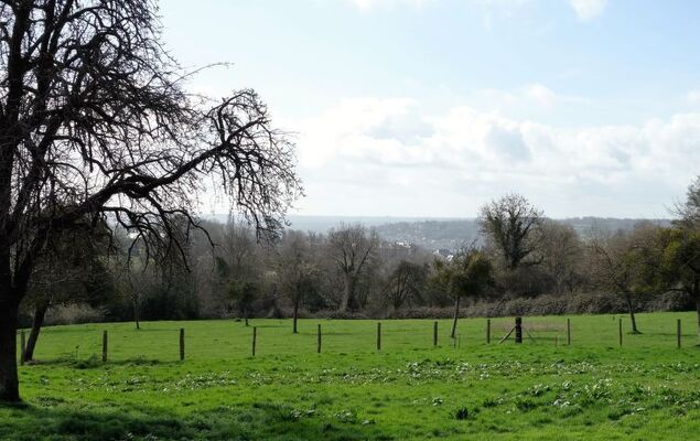 Les écuries de Callenville - Photo 30