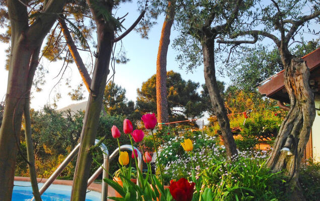 Villa Poggiobello - Photo 26