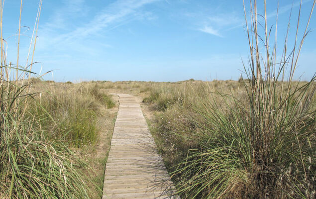 Loft Villalonga - Photo 25