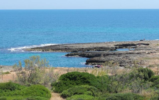 Happy Easy - Photo 5