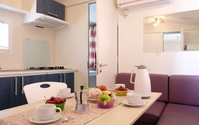 Happy Easy - Photo 6