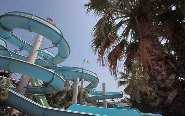 Happy Easy - Photo 17