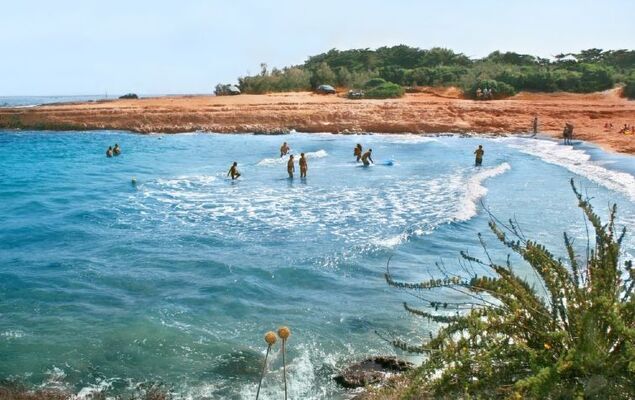 Happy Easy - Photo 21