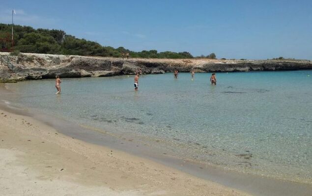 Happy Easy - Photo 22