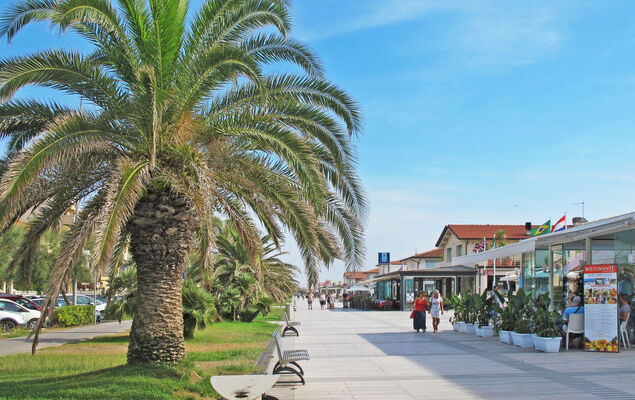 Rosa dei Venti - Photo 41